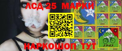 гидра Краснокаменск