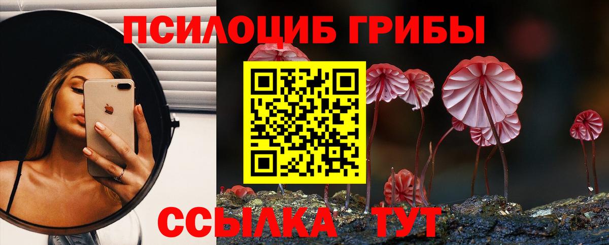 КОКАИН  Марихуана  Кисловодск  Гашиш  A PVP СК кристаллы  Меф МЯУ МЯУ кристаллы  КОКАИН  Вход с VPN  Codein 