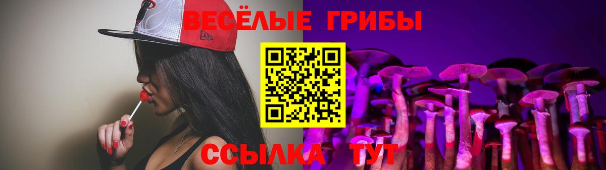Галлюциногенные грибы Magic Shrooms  Вход с VPN  Кисловодск 